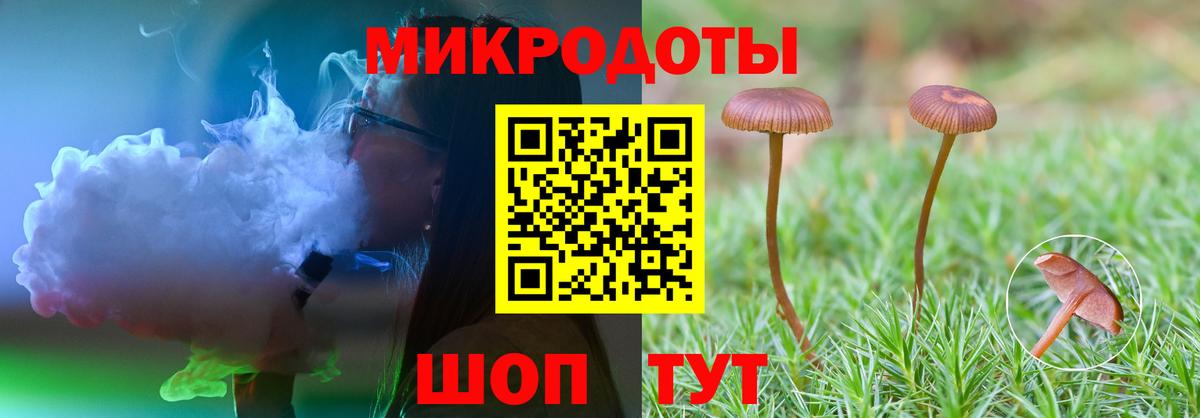 Ростов Великий  Псилоцибиновые грибы Cubensis  Вход с VPN 